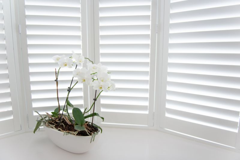 Exterior Shutters Installation in Overland Park, KS